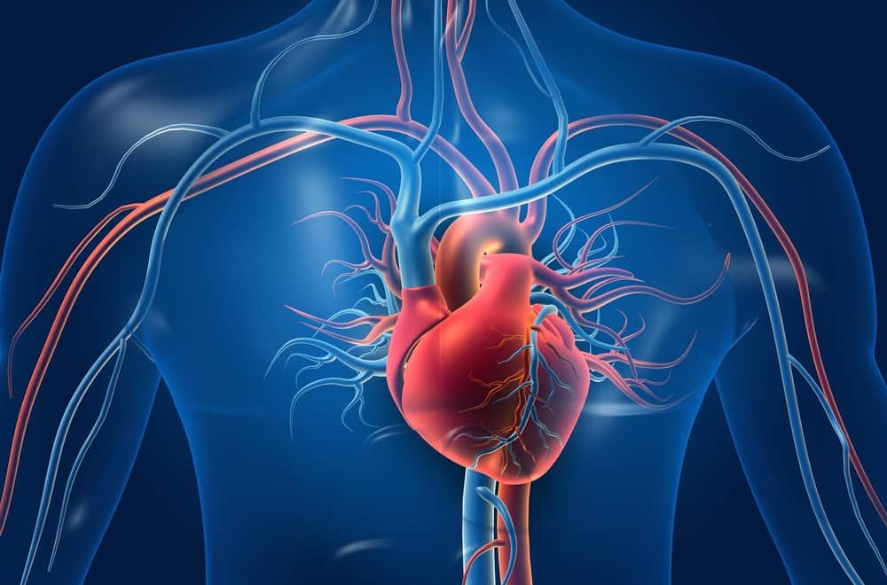 Acute Coronary Syndrome (ACS)